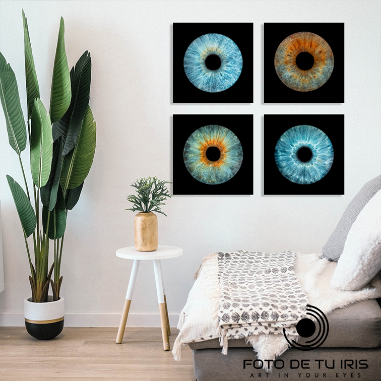 Decoración con 4 cuadros de iris en una habitación moderna – arte fotográfico del iris