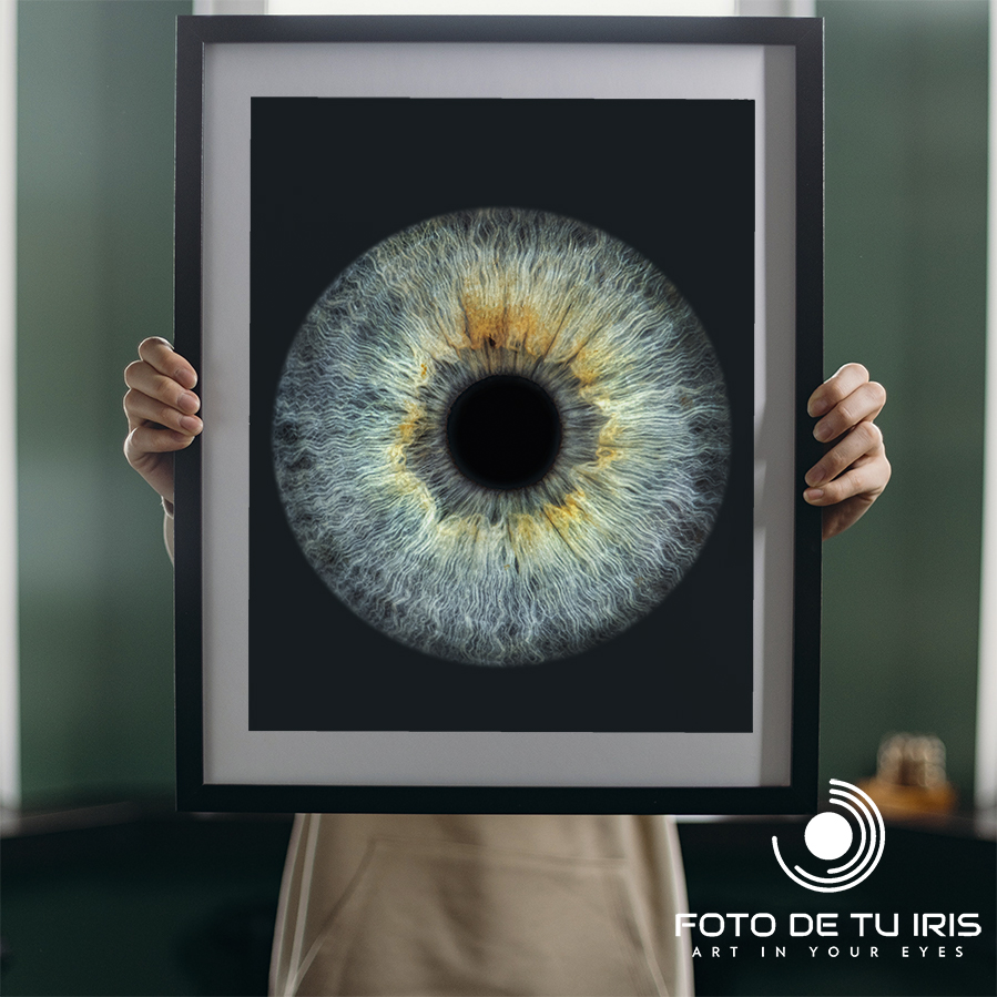 Cuadro de fotografía de iris | Tarjeta regalo digital de 1 iris | Foto de tu iris