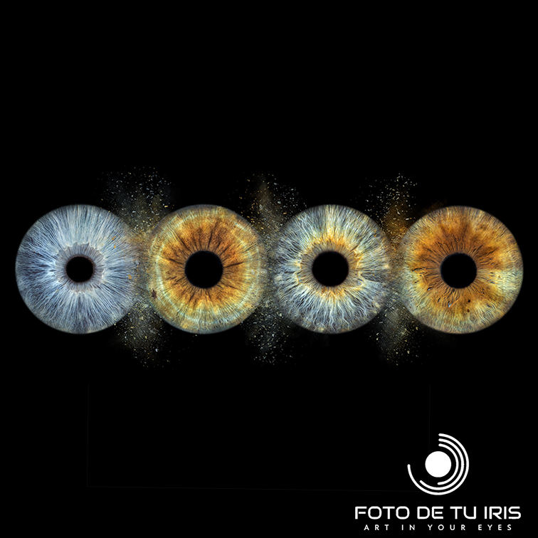 Fotografía artística de 4 iris con efecto splash – retrato de iris en alta resolución
