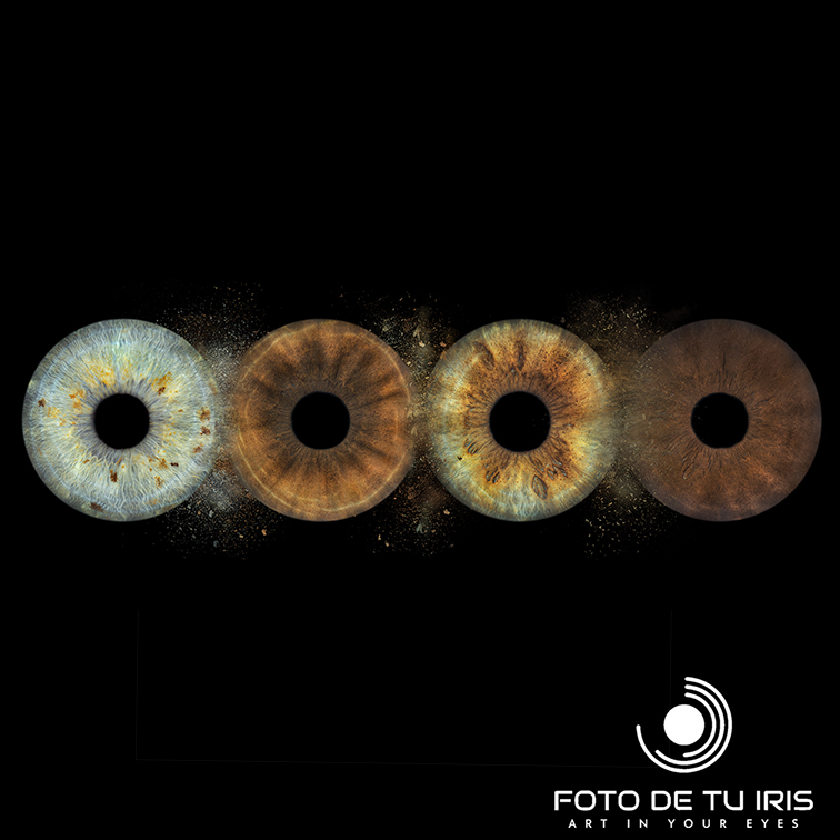 Fotografía de 4 iris en distintos colores – retrato artístico del iris en alta resolución
